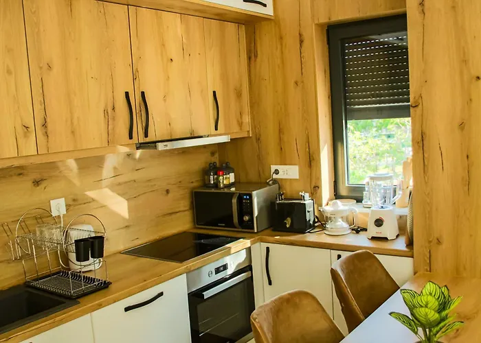 Biser ヴィラ ヴォディツェ